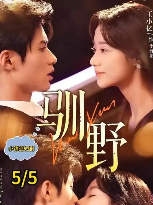 逆流而上 都市职场剧在线看